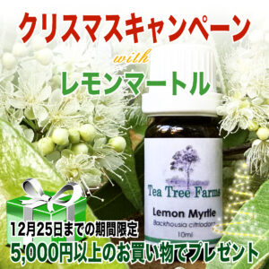 2025年クリスマスキャンペーン